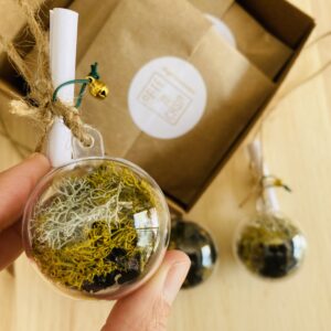 Cajas mágicas para 10 invitados - Imagen 15